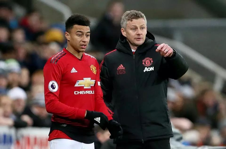 全面贡献者 全面贡献者